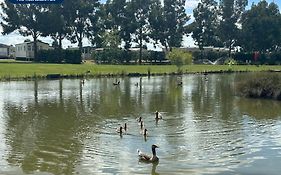 Pine Trees Leisure Park
